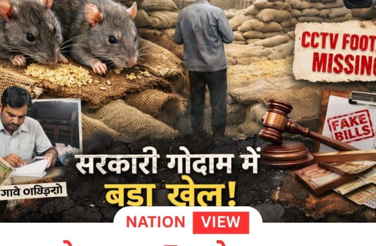 चूहे खा गए 7 करोड़ का धान